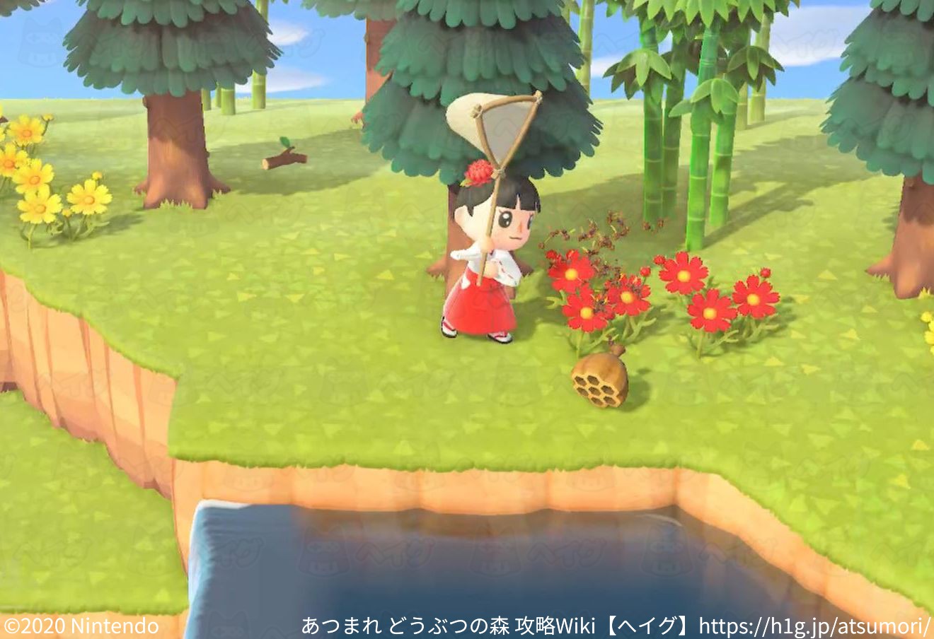失敗しないハチの捕まえ方と ハチの出現方法 あつ森 あつまれ どうぶつの森 攻略wiki ヘイグ攻略まとめwiki 失敗しないハチの捕まえ方と ハチの出現方法 あつ森 あつまれ どうぶつの森 攻略wiki ヘイグ攻略まとめwiki