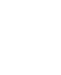 TeamP_logo.png