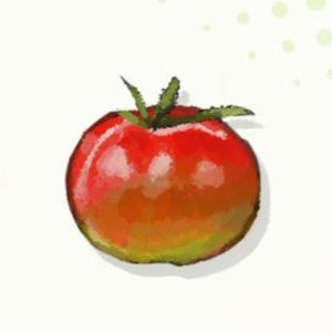 【オラ夏】トマト｜野菜【ヘイグ攻略まとめWiki】