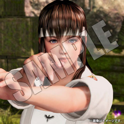 店舗特典 Doa6 デッド オア アライブ6 攻略wiki ヘイグ攻略まとめwiki