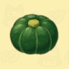 【ドラ牧2】かぼちゃの栽培時期・売値・用途【大自然の王国とみんなの家】【ヘイグ攻略まとめWiki】