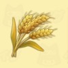 【ドラ牧2】小麦の栽培時期・売値・用途【大自然の王国とみんなの家】【ヘイグ攻略まとめWiki】