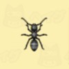 【ドラ牧2】アリの値段と出現条件【大自然の王国とみんなの家】【ヘイグ攻略まとめWiki】