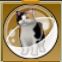 【ドラクエ10】「三毛太猫カプセル」の入手方法と詳細データ【ヘイグ攻略まとめWiki】