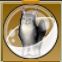 【ドラクエ10】「大サバ猫カプセル」の入手方法と詳細データ【ヘイグ攻略まとめWiki】