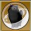 【ドラクエ10】「黒もふ猫カプセル」の入手方法と詳細データ【ヘイグ攻略まとめWiki】