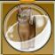 【ドラクエ10】「こげ茶キツネ猫カプセル」の入手方法と詳細データ【ヘイグ攻略まとめWiki】