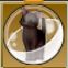 【ドラクエ10】「こげ茶猫カプセル」の入手方法と詳細データ【ヘイグ攻略まとめWiki】