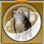 【ドラクエ10】「たれキジ太猫カプセル」の入手方法と詳細データ【ヘイグ攻略まとめWiki】