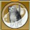 【ドラクエ10】「たれサバ太猫カプセル」の入手方法と詳細データ【ヘイグ攻略まとめWiki】