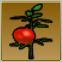 【ドラクエ10】「びっくりトマト」の入手方法と詳細データ【ヘイグ攻略まとめWiki】