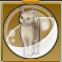 【ドラクエ10】「キナリキツネ猫カプセル」の入手方法と詳細データ【ヘイグ攻略まとめWiki】