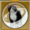 【ドラクエ10】「ハチワレ太猫カプセル」の入手方法と詳細データ【ヘイグ攻略まとめWiki】