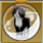 【ドラクエ10】「ハチワレ猫カプセル」の入手方法と詳細データ【ヘイグ攻略まとめWiki】