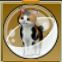 【ドラクエ10】「三毛猫カプセル」の入手方法と詳細データ【ヘイグ攻略まとめWiki】