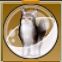 【ドラクエ10】「大トラ猫カプセル」の入手方法と詳細データ【ヘイグ攻略まとめWiki】