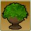 【ドラクエ10】「小さな緑の植木」の入手方法と詳細データ【ヘイグ攻略まとめWiki】