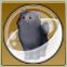 【ドラクエ10】「灰もふ猫カプセル」の入手方法と詳細データ【ヘイグ攻略まとめWiki】