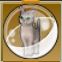 【ドラクエ10】「灰キツネ猫カプセル」の入手方法と詳細データ【ヘイグ攻略まとめWiki】