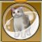 【ドラクエ10】「灰三毛太猫カプセル」の入手方法と詳細データ【ヘイグ攻略まとめWiki】