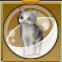 【ドラクエ10】「灰三毛猫カプセル」の入手方法と詳細データ【ヘイグ攻略まとめWiki】