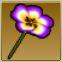 【ドラクエ10】「紫色パンジーの傘」の入手方法と詳細データ【ヘイグ攻略まとめWiki】