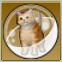 【ドラクエ10】「茶トラ太猫カプセル」の入手方法と詳細データ【ヘイグ攻略まとめWiki】