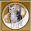 【ドラクエ10】「銀トラ太猫カプセル」の入手方法と詳細データ【ヘイグ攻略まとめWiki】