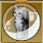 【ドラクエ10】「銀トラ猫カプセル」の入手方法と詳細データ【ヘイグ攻略まとめWiki】