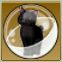 【ドラクエ10】「黒猫カギしっぽカプセル」の入手方法と詳細データ【ヘイグ攻略まとめWiki】