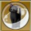 【ドラクエ10】「黒猫カプセル」の入手方法と詳細データ【ヘイグ攻略まとめWiki】
