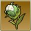 【ドラクエ10】「コットン草」の入手方法と詳細データ - ドラクエ10 攻略Wiki | DQ10 ： ヘイグ