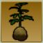 【ドラクエ10】「まんまるポテト」の入手方法と詳細データ - ドラクエ10 攻略Wiki | DQ10 ： ヘイグ