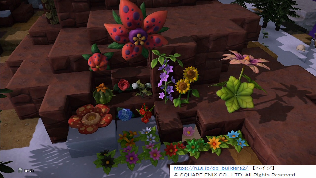 【ドラクエビルダーズ2】花の種類について【ヘイグ攻略まとめWiki】