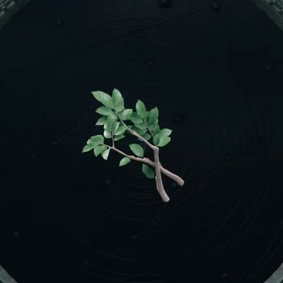 【FF7リバース】トネリコの木 | クラフト素材【ヘイグ攻略まとめWiki】