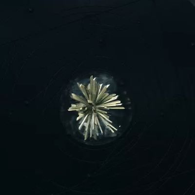 【FF7リバース】不思議な水晶 | アクセサリ【ヘイグ攻略まとめWiki】