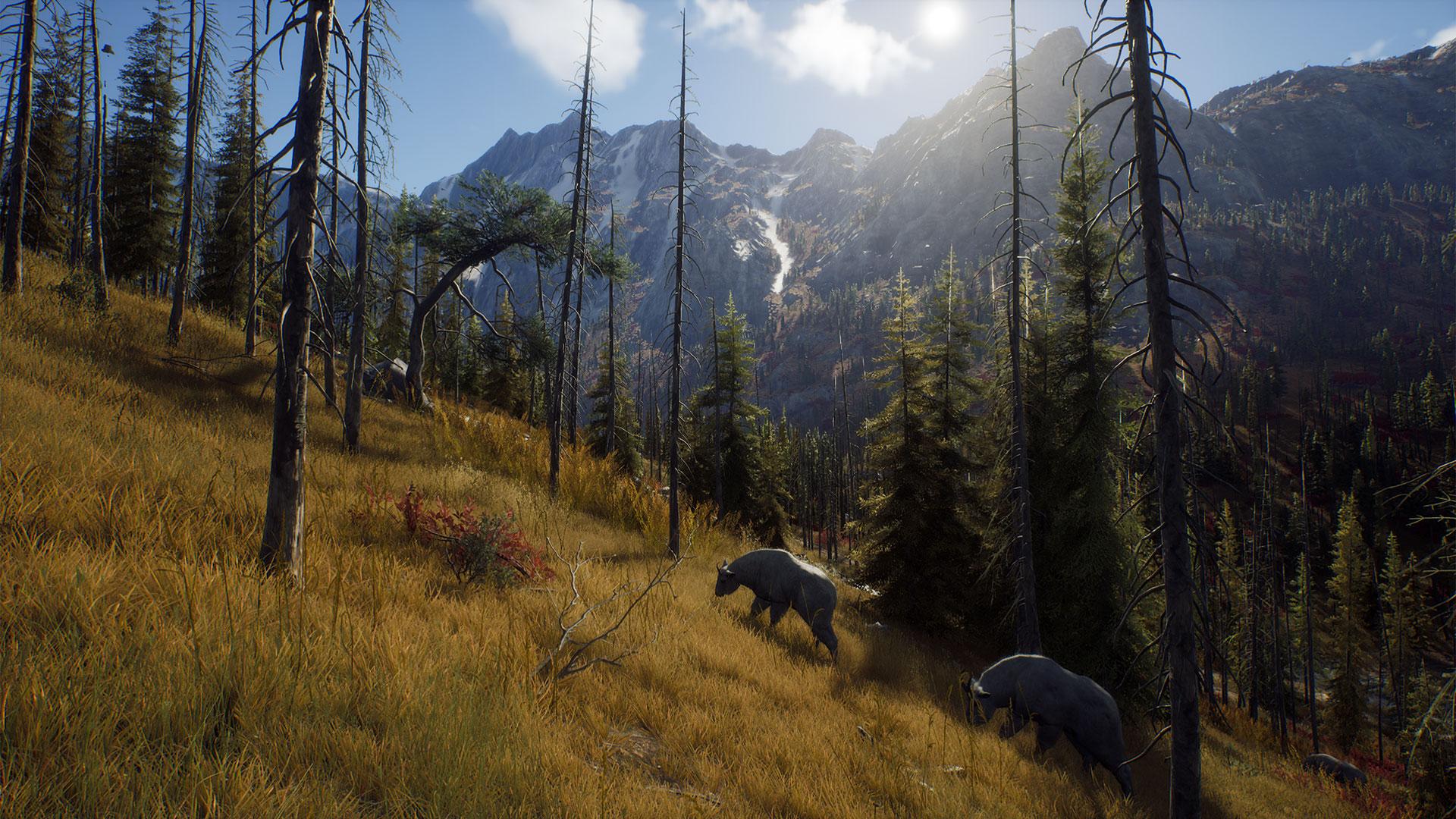 Way_of_the_Hunter_Announcement_Screenshot04_MountainGoat.jpg