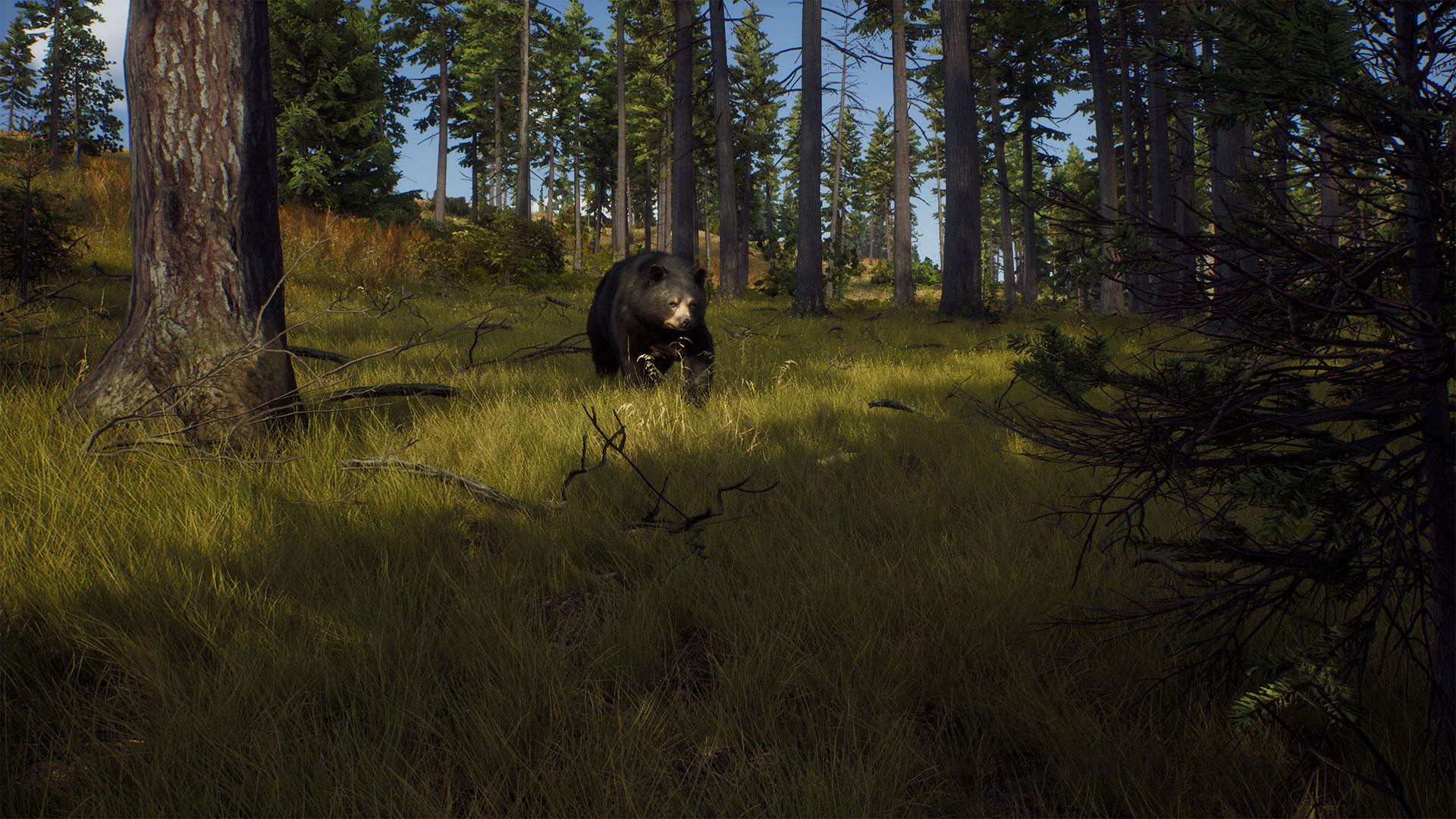 Way_of_the_Hunter_Announcement_Screenshot02_BlackBear.jpg