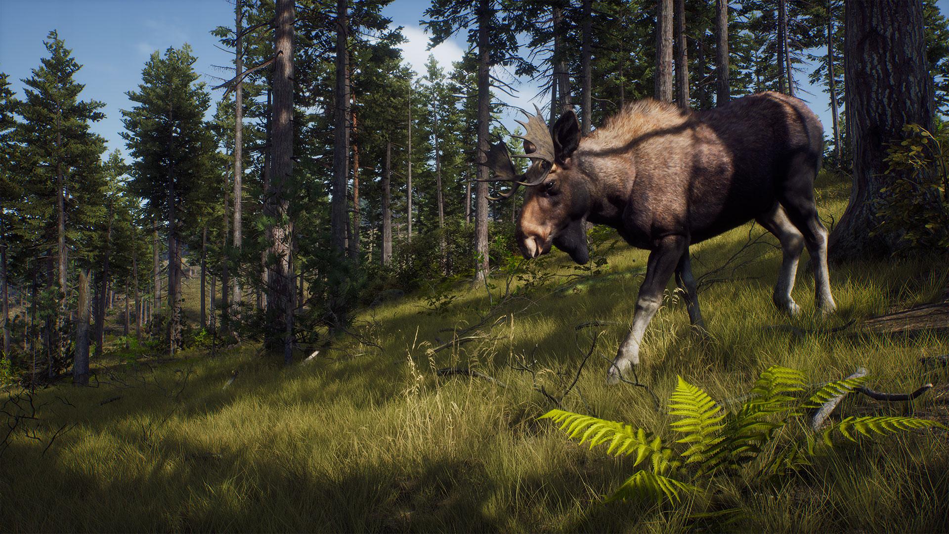 Way_of_the_Hunter_Announcement_Screenshot04_Moose.jpg