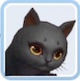 黒猫クルロ（ペット）【ヘイグ攻略まとめWiki】
