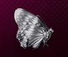 【龍が如く7】素材「銀の蝶」の入手方法や詳細データ【ヘイグ攻略まとめWiki】