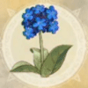 【ライザのアトリエ2】北風の花 | 材料【ヘイグ攻略まとめWiki】