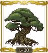【ライザのアトリエ3】千年樹の幼木 | 素材【ヘイグ攻略まとめWiki】