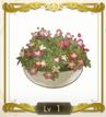 【ライザのアトリエ3】彩花の鉢植え | 重要【ヘイグ攻略まとめWiki】