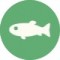 【炭シロ】魚図鑑｜釣れる場所と時間帯まとめ - クレヨンしんちゃん『炭の町のシロ』 攻略Wiki ： ヘイグ