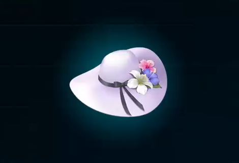 【SO6】貴婦人の帽子 | 貴重品【ヘイグ攻略まとめWiki】