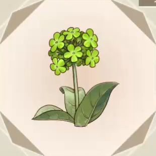 【ソフィーのアトリエ2】緑色の花｜アイテム：素材【ヘイグ攻略まとめWiki】