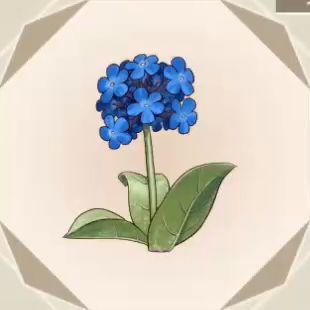 【ソフィーのアトリエ2】青い花｜アイテム：素材【ヘイグ攻略まとめWiki】