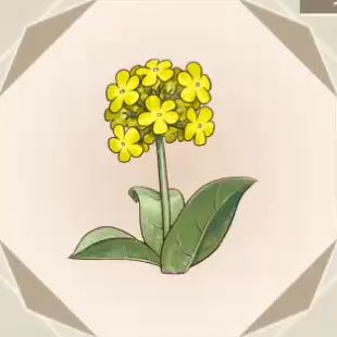 【ソフィーのアトリエ2】黄色い花｜アイテム：素材【ヘイグ攻略まとめWiki】