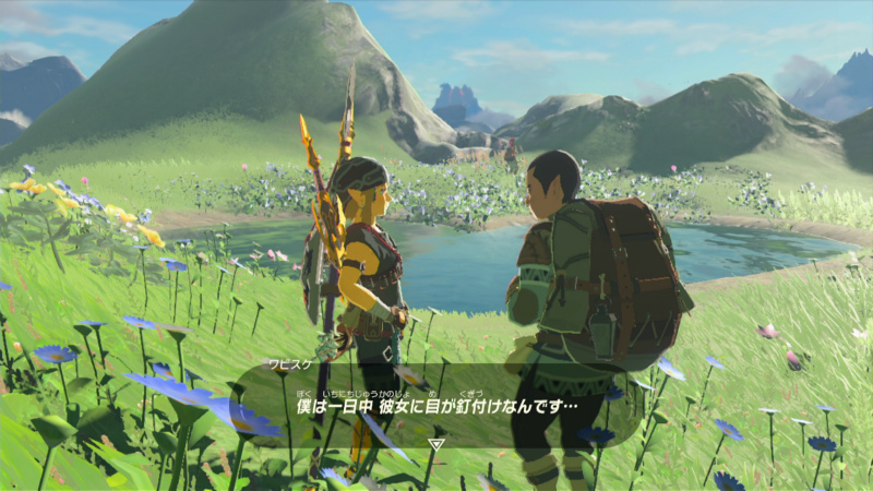 しのび草の君 ゼルダの伝説 ブレス オブ ザ ワイルド Bow 攻略wiki ヘイグ攻略まとめwiki